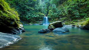Tour Cataratas de Carpishoyacu