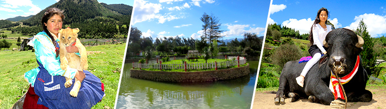 Cajamarca